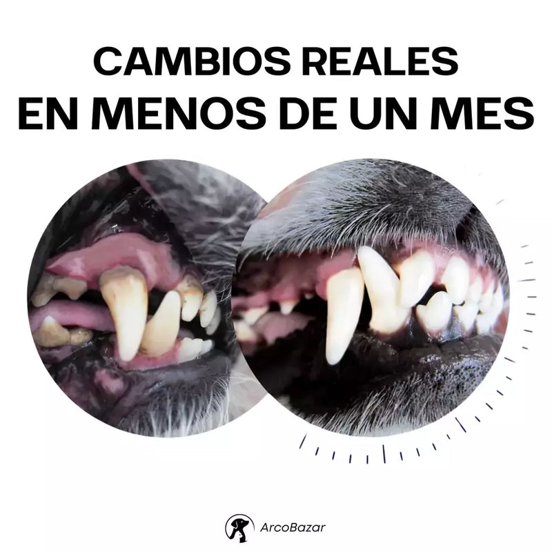 Juguete de Hueso de Goma para Cepillado de Dientes para Perros