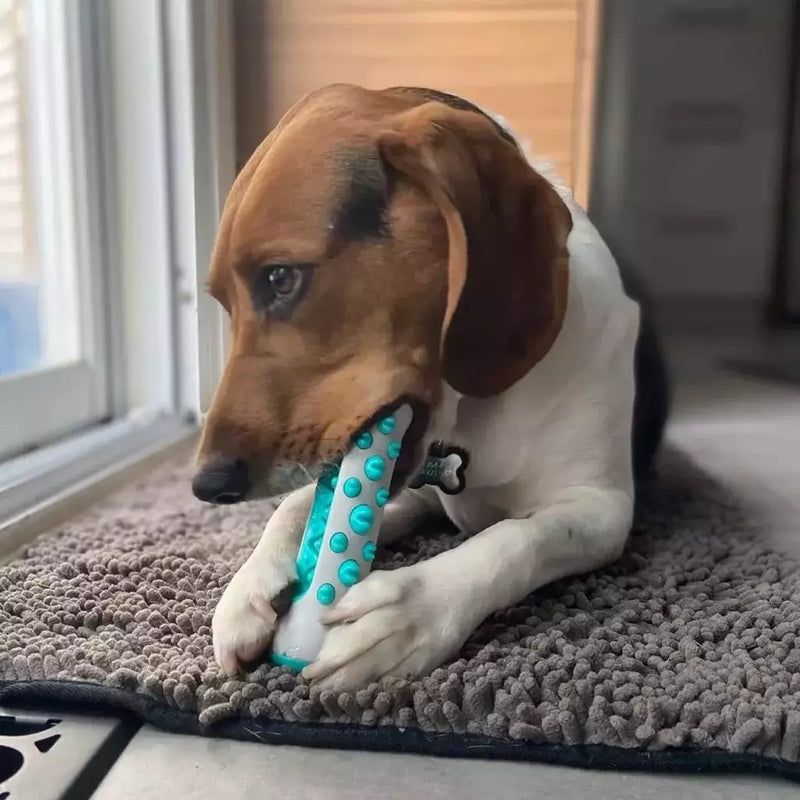 Juguete de Hueso de Goma para Cepillado de Dientes para Perros